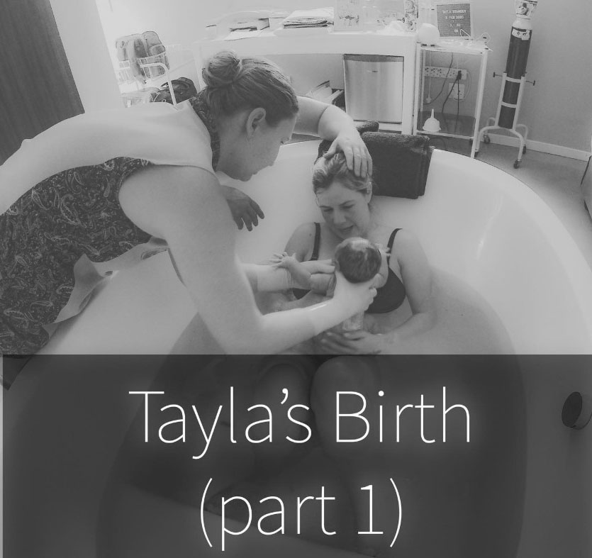 Tayla 1